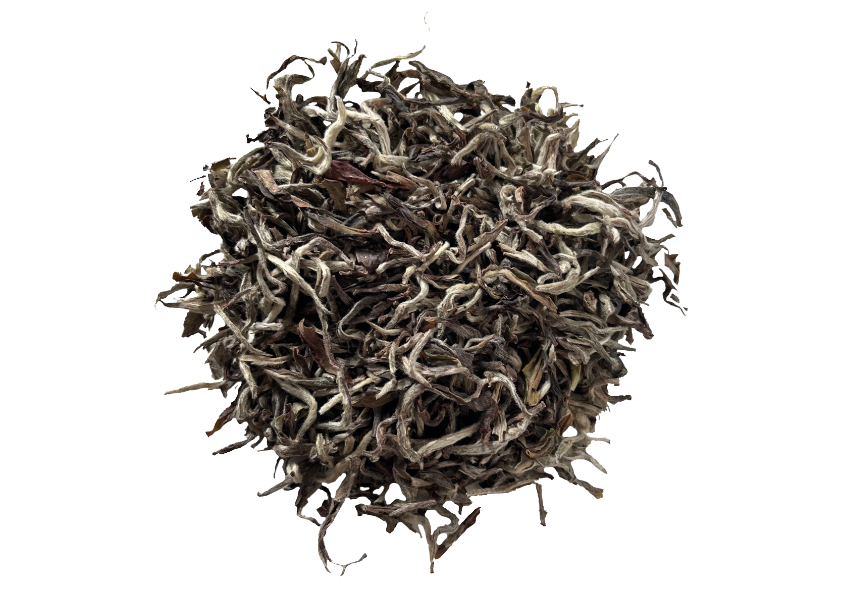 Nepal Shangri White