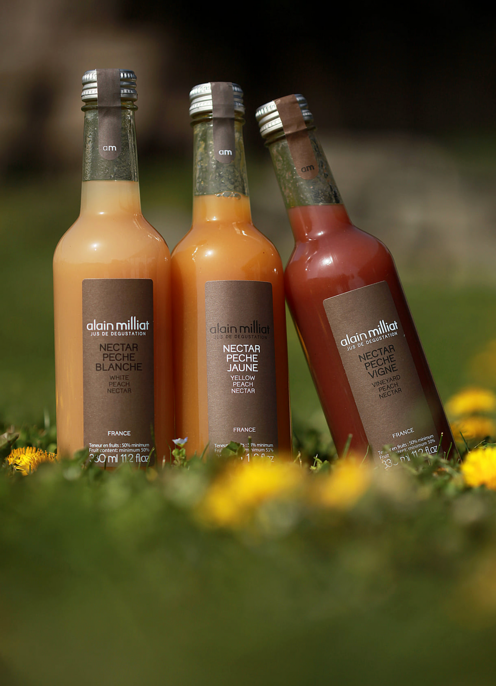 Mango Nectar  20cl