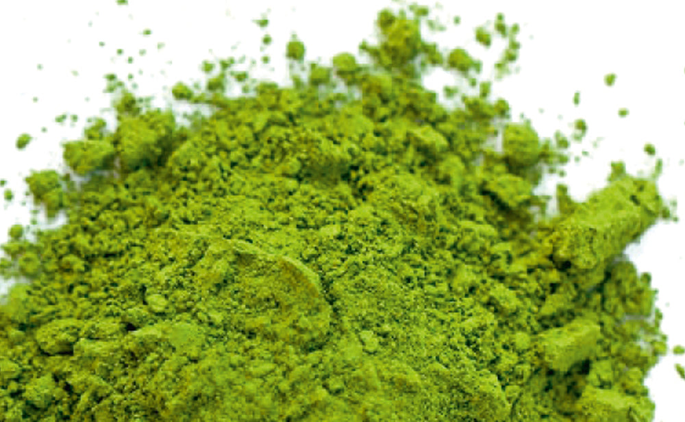Japan Matcha