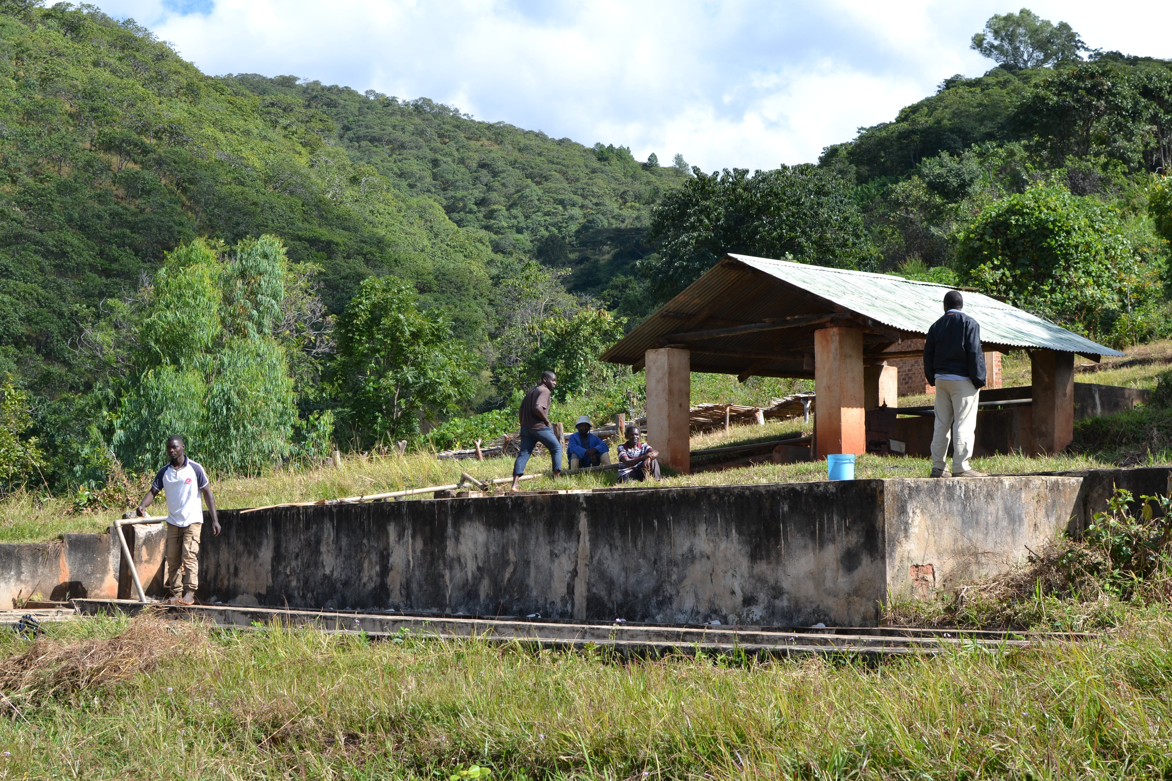 Malawi Misuku Hills