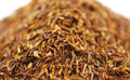 Rooibos Original