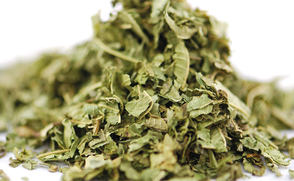 Verveine