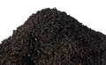 Black Satemwa TSFBOP1