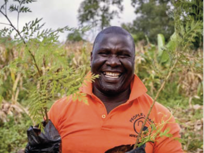 Planting for the future